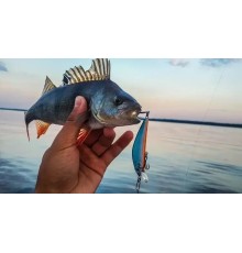 Рыбка-приманка Twitching lure